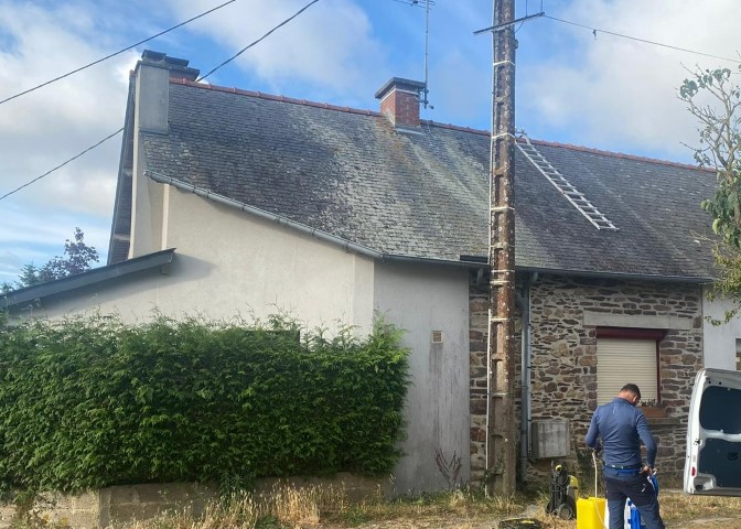 Nettoyage de toiture - Avant